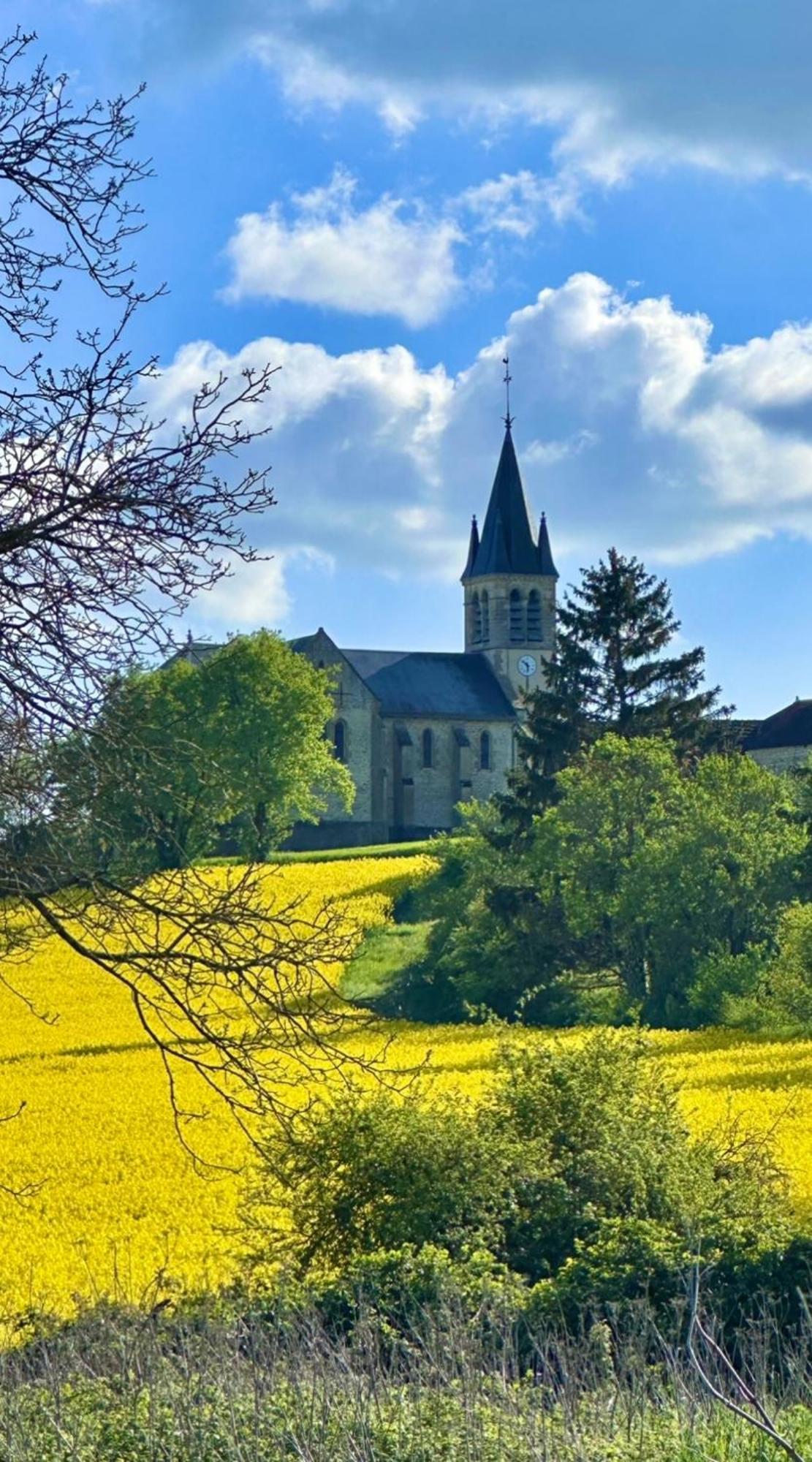 La Cour Des Delices Panzió Gigny  Kültér fotó